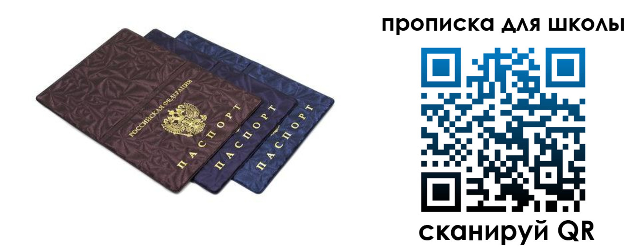 прописка в квартире в Камчатской области